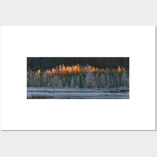 Frosty morning in Algonquin Park, Canada Wall Art by Jim Cumming